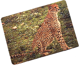Cheetah Puzzle Cheetah Puzzle
