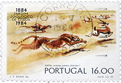 Stamp From Portugal
