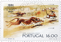 Stamp From Portugal Stamp From Portugal
