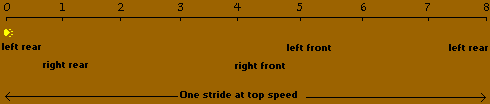 Running Cheetah Compared to Running Horse