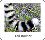The Tail Rudder
